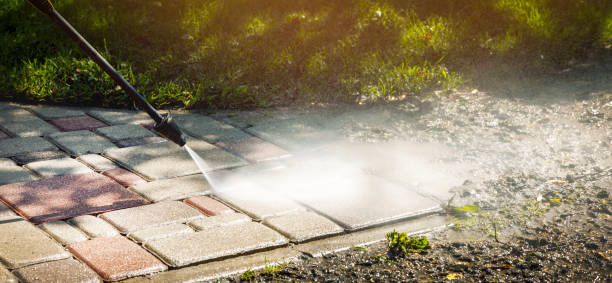 Best Sidewalk and Walkway Cleaning  in Sardis, MS